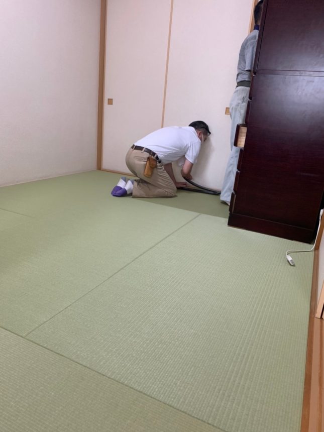 畳張替え 畳 マンション 和室改修 和室リフォーム