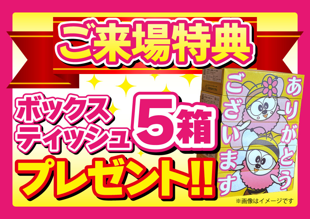 ご来場特典（BOXティッシュ５箱）
